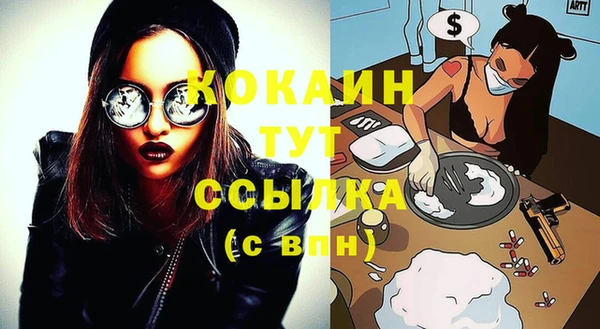 твердый Бородино
