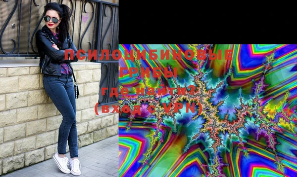 mdma Богородицк