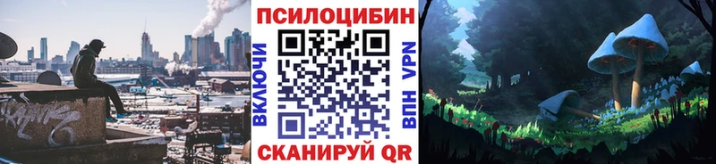 купить наркотик  Якутск  блэк спрут ССЫЛКА  Псилоцибиновые грибы Psilocybine cubensis 
